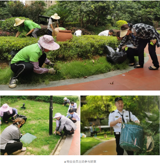 1628580551.jpg 1628580551.jpg